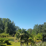 Photo n°3 de l'avis de maria.o fait le 25/07/2018 à 08:21 sur le  Hotel Cavalieri Del Mare à Massa