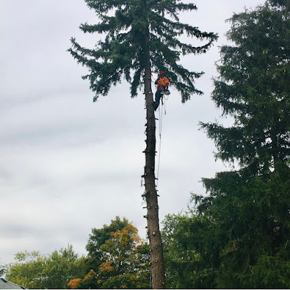 Tim’s Tree Removal