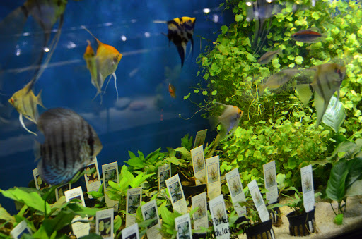 Pet Supply Store «The Feed Bag Pet Supply», reviews and photos, 10900 N Port Washington Rd, Mequon, WI 53092, USA