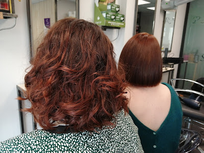 Lle Salon à Mordelles