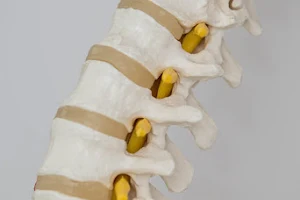 Tomlinson Osteopaths image