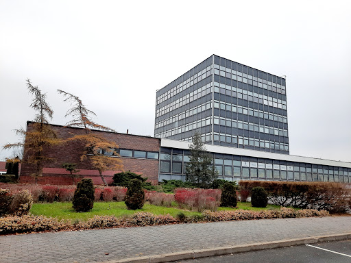 Universidad Nicolás Corpénico de Toruń