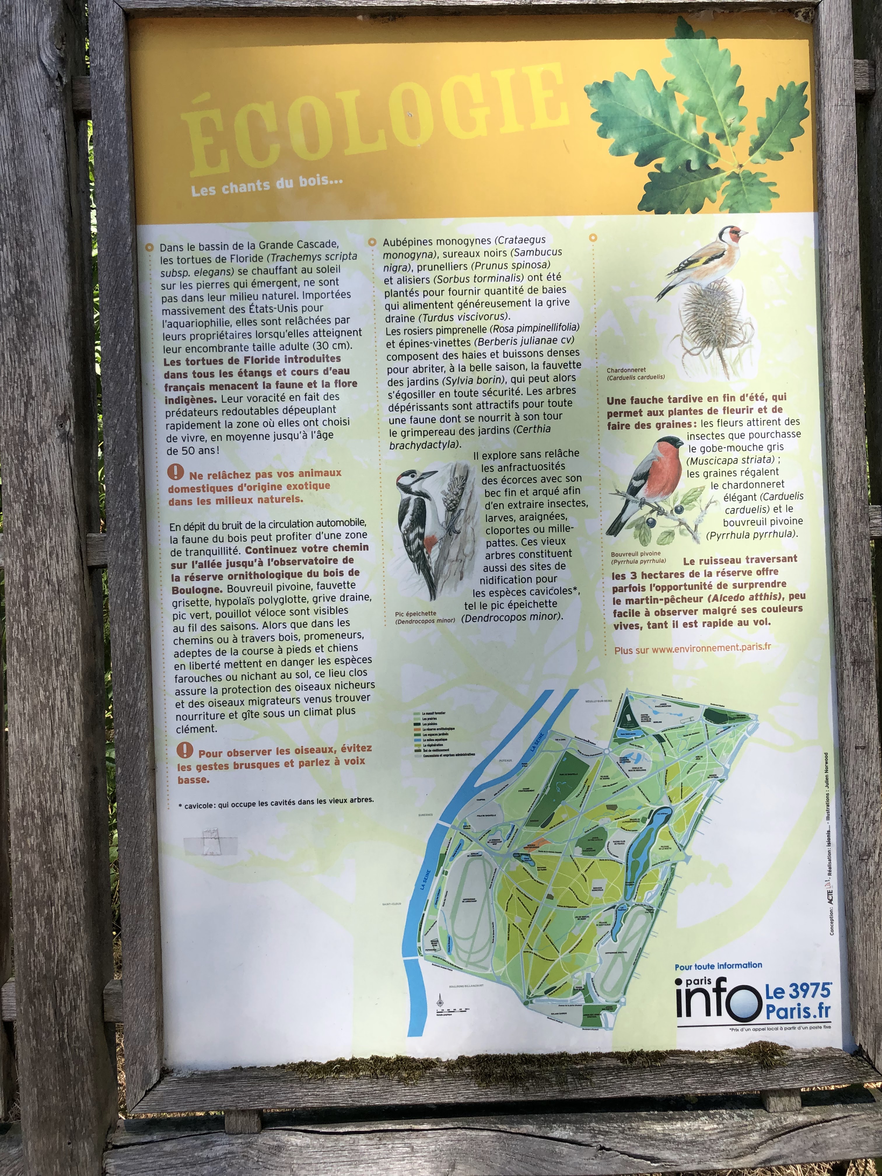 Photo n° 1 de l'avis de damien.v fait le 05/07/2019 à 10:34