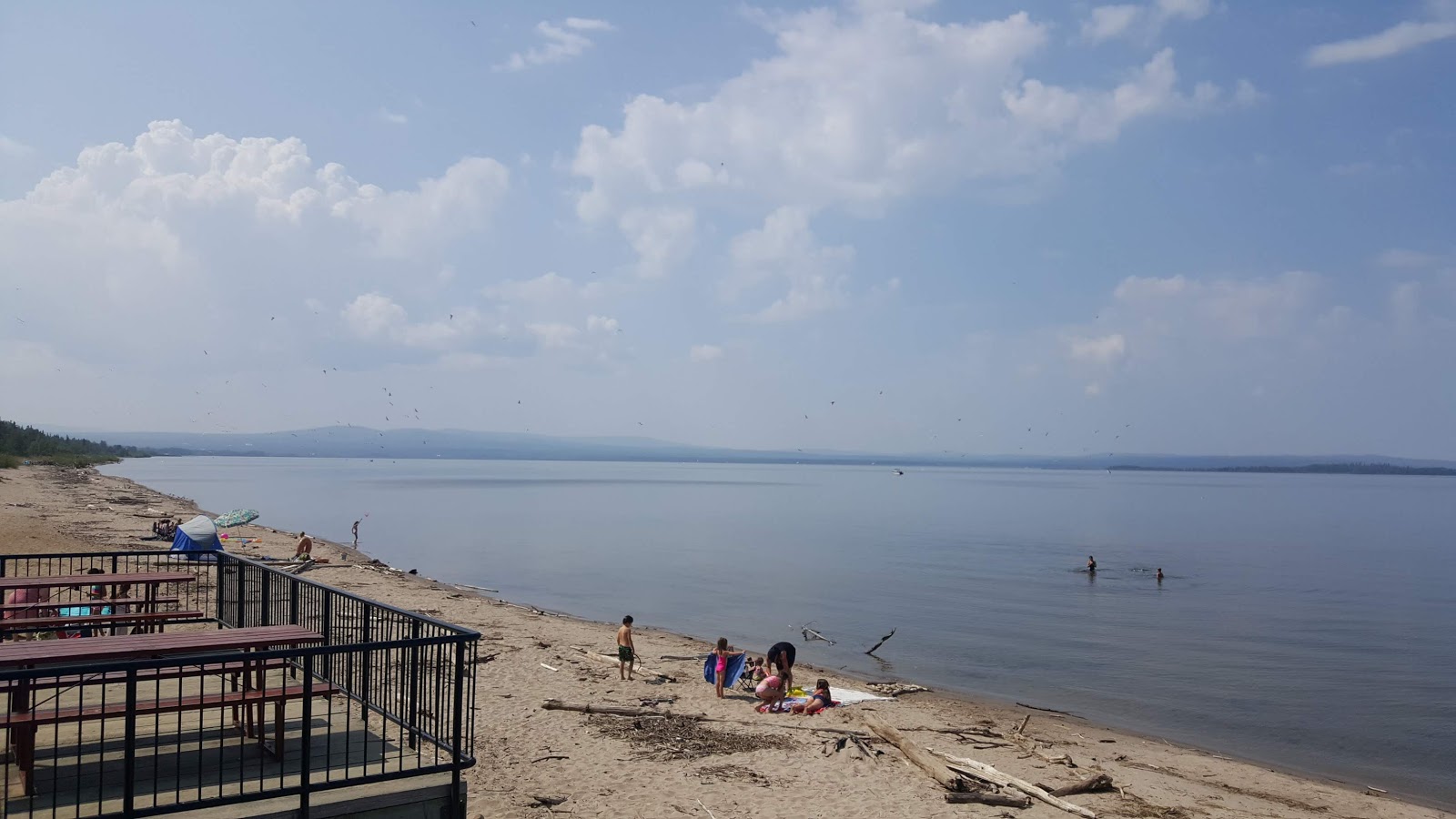 Photo de Plage de Devonshire avec un niveau de propreté de très propre