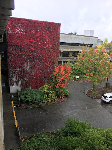 Book Store «North Seattle College Official Bookstore», reviews and photos, 9600 College Way N, Seattle, WA 98103, USA