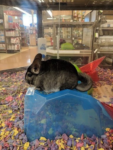 Pet Supply Store «Petco Animal Supplies», reviews and photos, 225 Maple Ave E, Vienna, VA 22180, USA