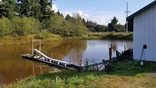 Museum «Cranberry Museum», reviews and photos, 2907 Pioneer Rd, Long Beach, WA 98631, USA