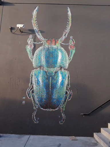 Laundromat «BayView Plaza Launderland», reviews and photos, 3801 3rd St, San Francisco, CA 94124, USA