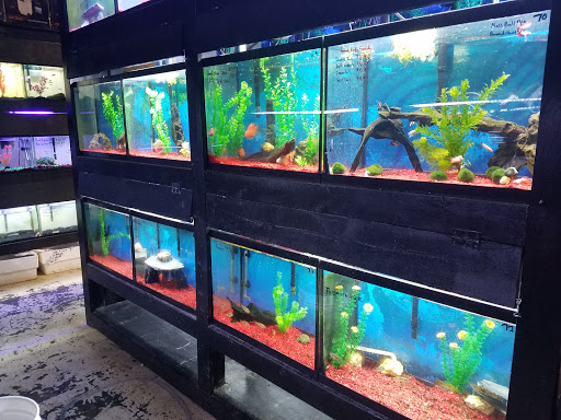 Pet Store «Pet Land», reviews and photos, 1450 Fort Campbell Blvd, Clarksville, TN 37042, USA