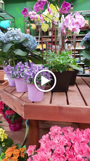 Hardware Store «Orchard Supply Hardware», reviews and photos, 17506 Yorba Linda Blvd, Yorba Linda, CA 92886, USA