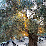 Photo n°21 de l'avis de Kaja.u fait le 04/06/2023 à 18:47 sur le  Agriturismo Catena à Cirò