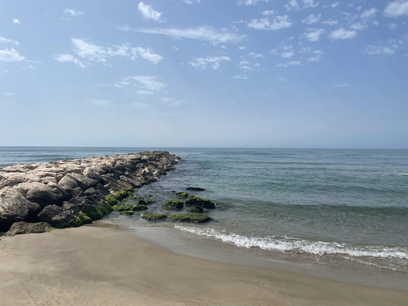Plage de la Courbe'in fotoğrafı vahşi alan