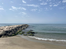 Plage de la Courbe'in fotoğrafı vahşi alan