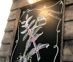 Blue Luna Café photo