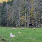 Photo n°4 de l'avis de Andreas.e fait le 04/11/2020 à 13:40 sur le  Almhof Oafach à Rottach-Egern