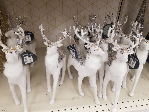 Discount Store «Big Lots», reviews and photos, 15501 Bustleton Ave, Philadelphia, PA 19116, USA