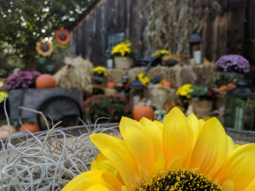 Museum «Webb-Deane-Stevens Museum», reviews and photos, 211 Main St, Wethersfield, CT 06109, USA