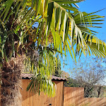 Photo n° 7 de l'avis de Gaelle.e fait le 01/12/2023 à 21:56 pour Garden Project - Paysagiste & Pisciniste Toulouse à Toulouse