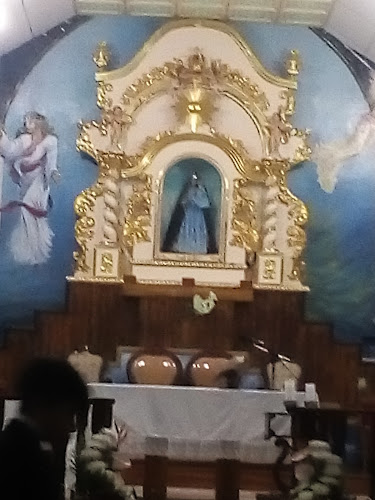 Opiniones de Iglesia Católica Santísima Virgen de La Purificación en Ibarra - Iglesia