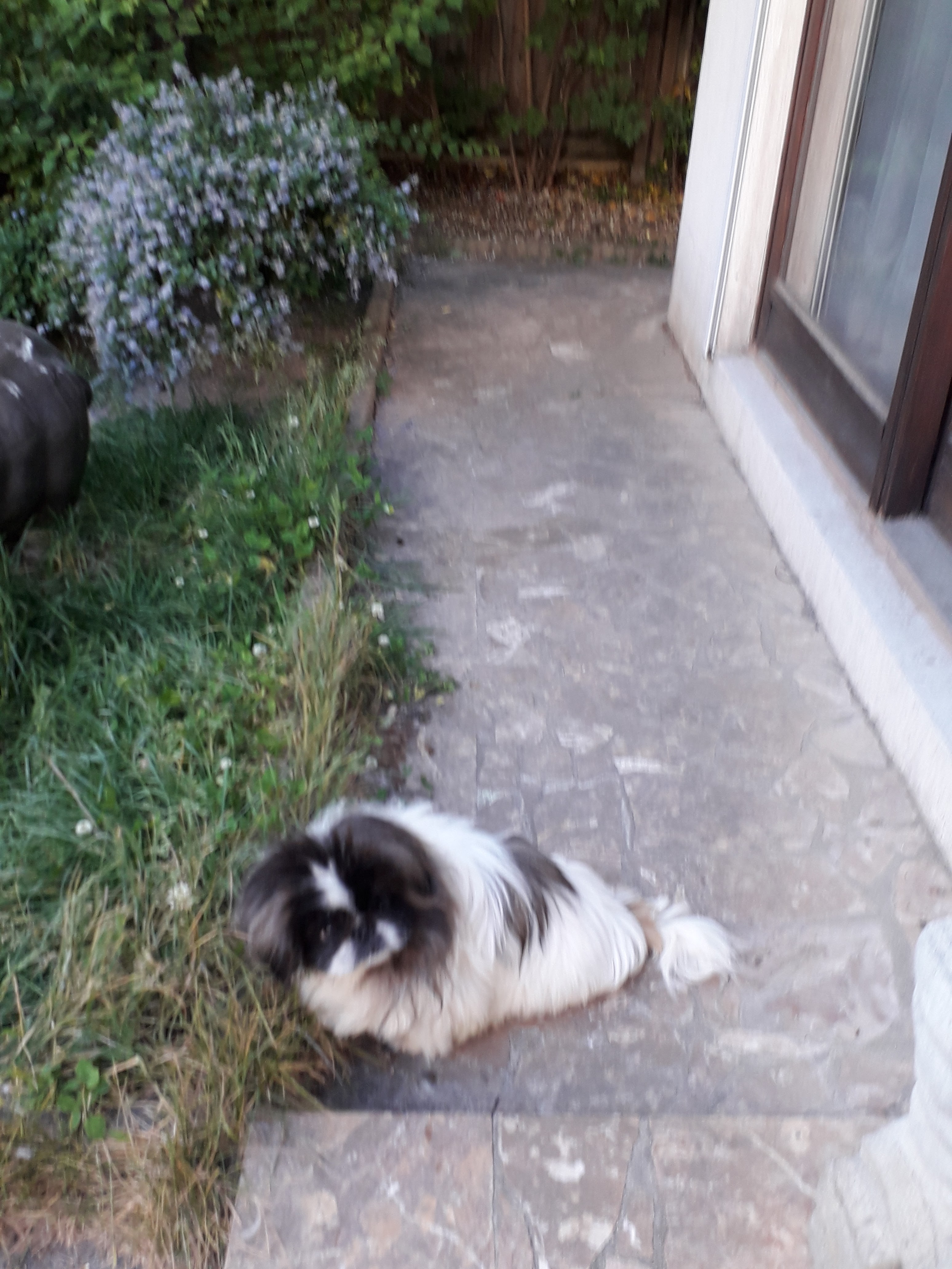 Photo n° 5 de l'avis de genji.a fait le 14/05/2022 à 20:51