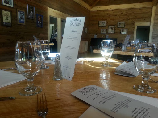 Arts Organization «HART Theatre», reviews and photos, 250 Pigeon St, Waynesville, NC 28786, USA