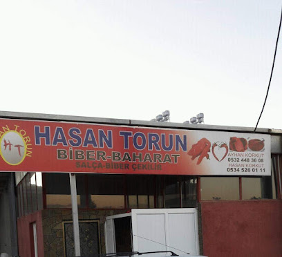 Hasan torun