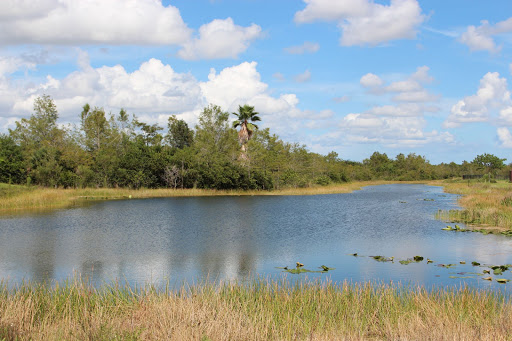 Park «Miramar Regional Park», reviews and photos, 16801 Miramar Pkwy, Miramar, FL 33027, USA