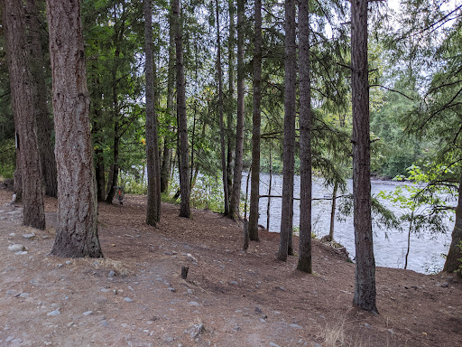 Public Golf Course «White River Disc Golf Course», reviews and photos, 2401 Stuck River Dr, Auburn, WA 98092, USA