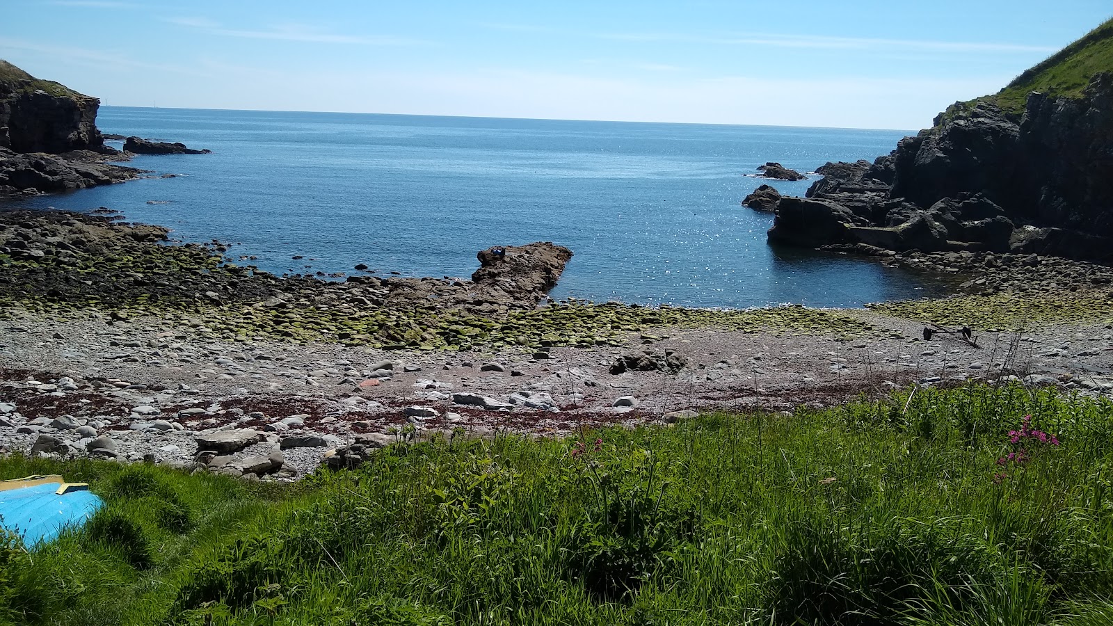 Zdjęcie Newtonhill Beach dziki obszar