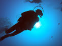 Best Scuba Diving Shops In Indianapolis Near You