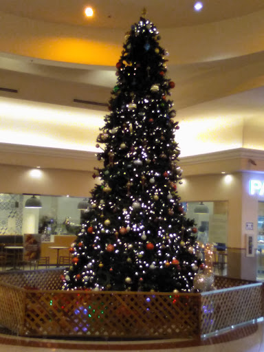 Shopping Mall «Grand Century Shopping Mall», reviews and photos, 1111 Story Rd, San Jose, CA 95122, USA