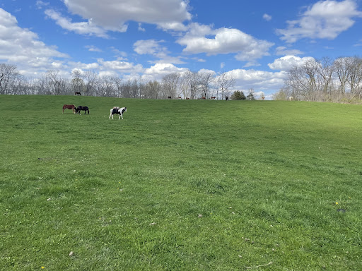 Stable «Cedar Valley Stables Inc», reviews and photos, 1492 Harding Ave, Tipton, IA 52772, USA