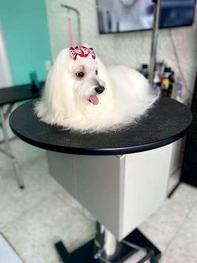 Peluquería Canina Don Juan Dog Grooming® | María Fernanda Azambuja