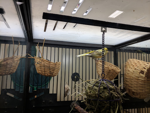 Pet Supply Store «PetSmart», reviews and photos, 7290 W Bell Rd, Glendale, AZ 85308, USA