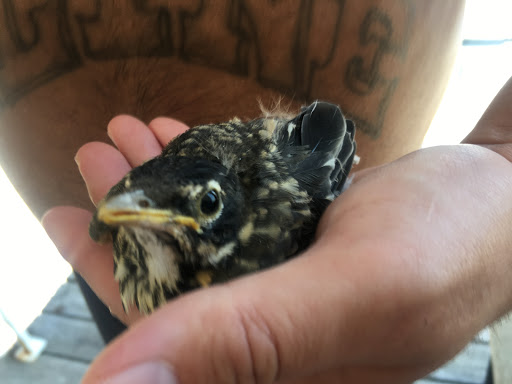 Pet Store «Picture Perfect Pet Center», reviews and photos, 1374 N Baldwin Ave, Marion, IN 46952, USA