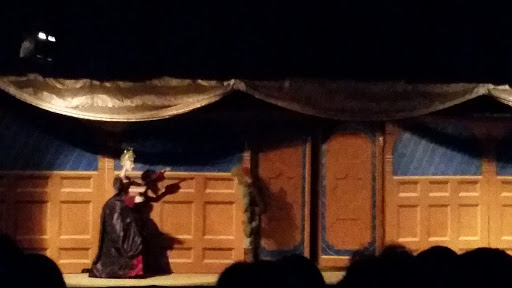 Performing Arts Theater «Columbia Marionette Theatre», reviews and photos, 401 Laurel St, Columbia, SC 29201, USA