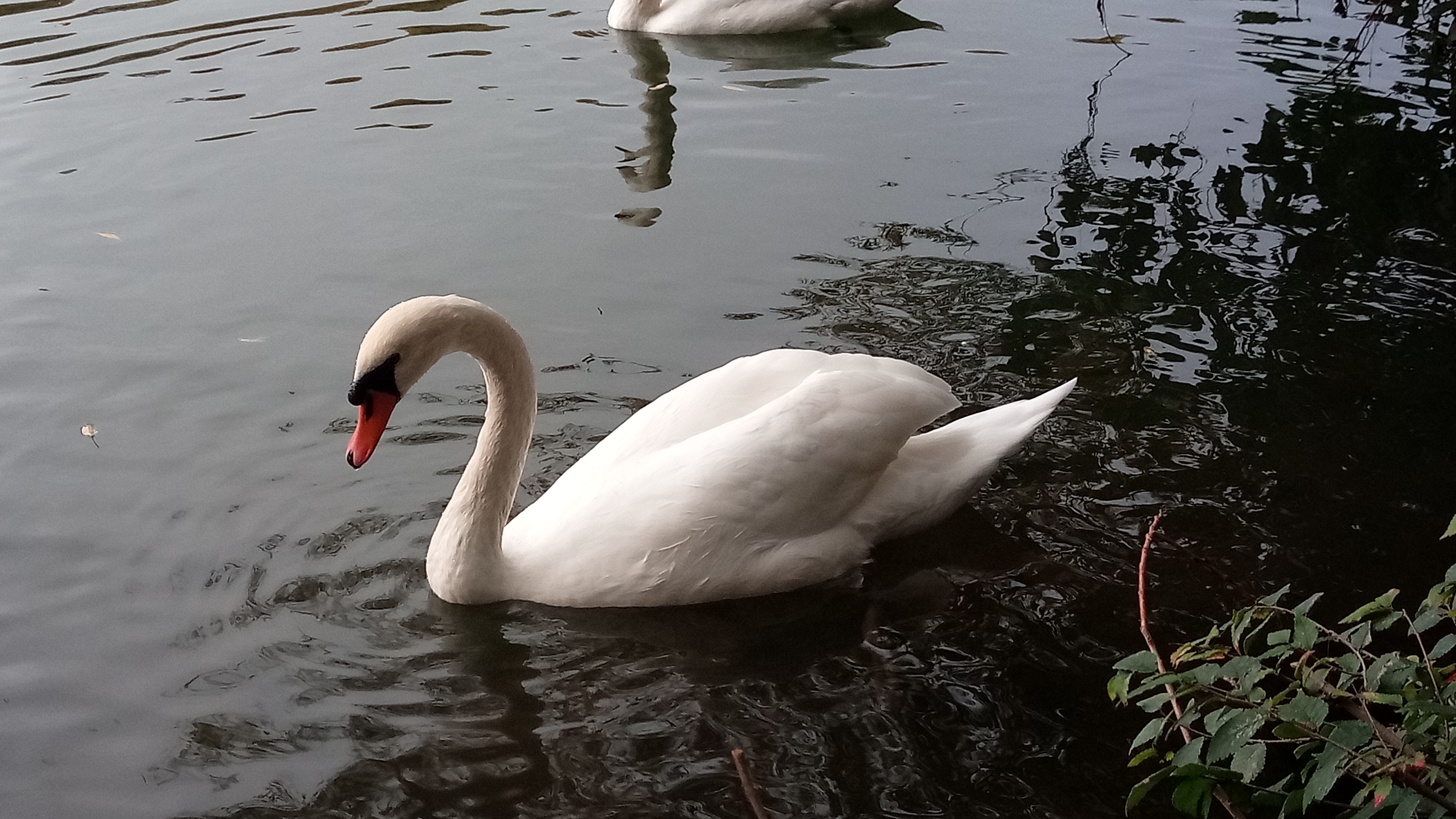 Photo n° 15 de l'avis de Arnaud.N fait le 19/05/2019 à 09:20