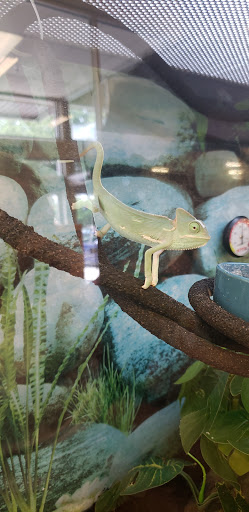 Pet Supply Store «Petco Animal Supplies», reviews and photos, 3264 Buford Dr NE #110, Buford, GA 30519, USA