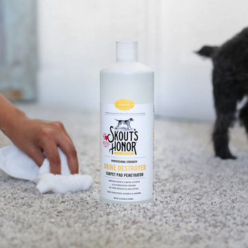 Pet Supply Store «Dogge Style Pets Passyunk», reviews and photos, 1700 E Passyunk Ave, Philadelphia, PA 19148, USA