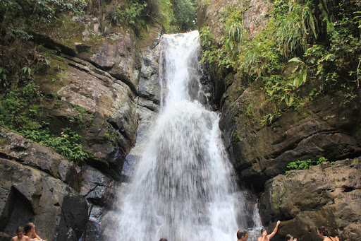 Bosque Nacional El Yunque