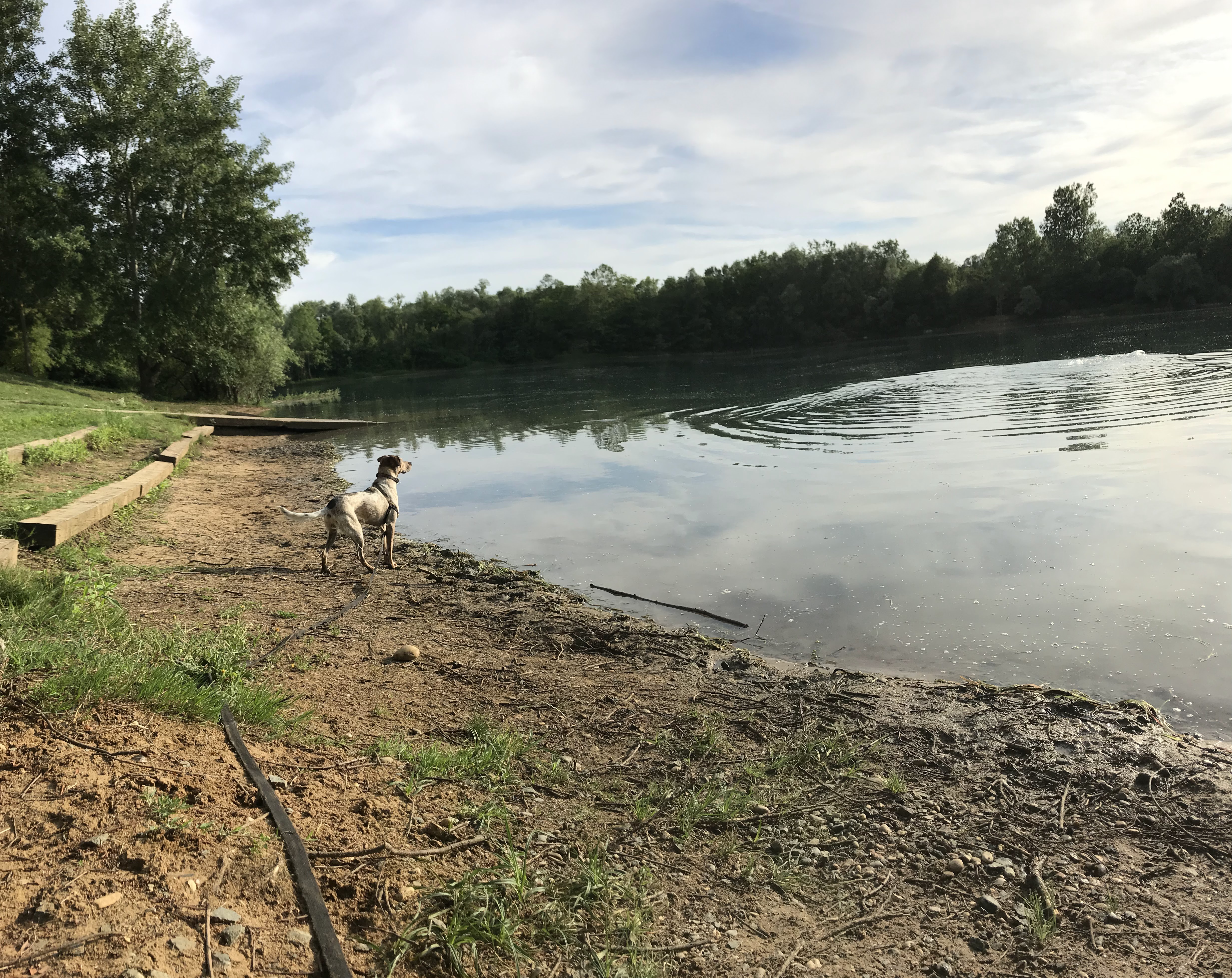 Photo n° 1 de l'avis de Nicolas.s fait le 30/06/2019 à 15:30