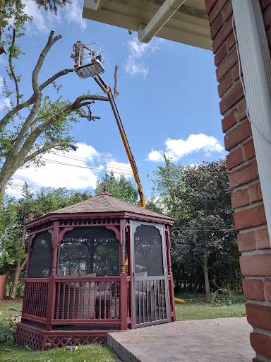 Tree Service «Polgar Tree Service & Removal LLC», reviews and photos