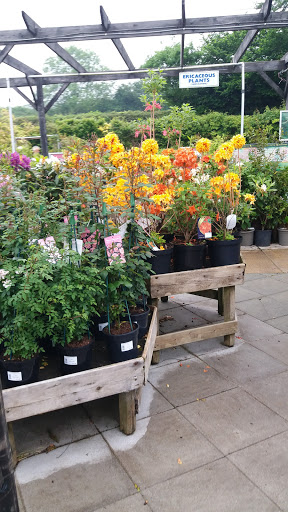 Pontarddulais Garden Centre