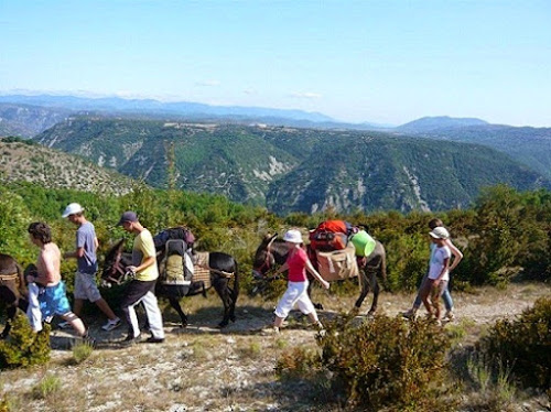 Sherp'Ânes Les Ânes du Causse, Rando ânes Larzac et Cévennes à La Vacquerie-et-Saint-Martin-de-Castries