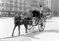 Horizon Taxi Cab & Transportation - Photo 3 - Car repair in New Haven, CT, New Haven