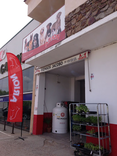 Piensos Jacobo - Talavera de la Reina