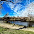 Horseshoe Lake Reserve