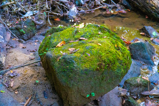 Nature Preserve «Cascade Springs Nature Preserve», reviews and photos, 2852 Cascade Rd SW, Atlanta, GA 30311, USA