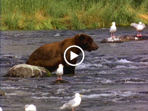 Department Store «Nordstrom Rack at The Block Northway», reviews and photos, 8031 McKnight Rd, Pittsburgh, PA 15237, USA