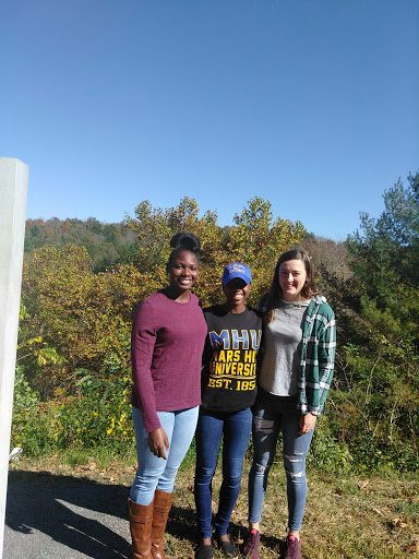 Tourist Attraction «French Broad Overlook», reviews and photos, 3938 Blue Ridge Pkwy, Arden, NC 28704, USA